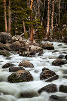 Rapids at 9000 Feet, Yosemite Wilderness